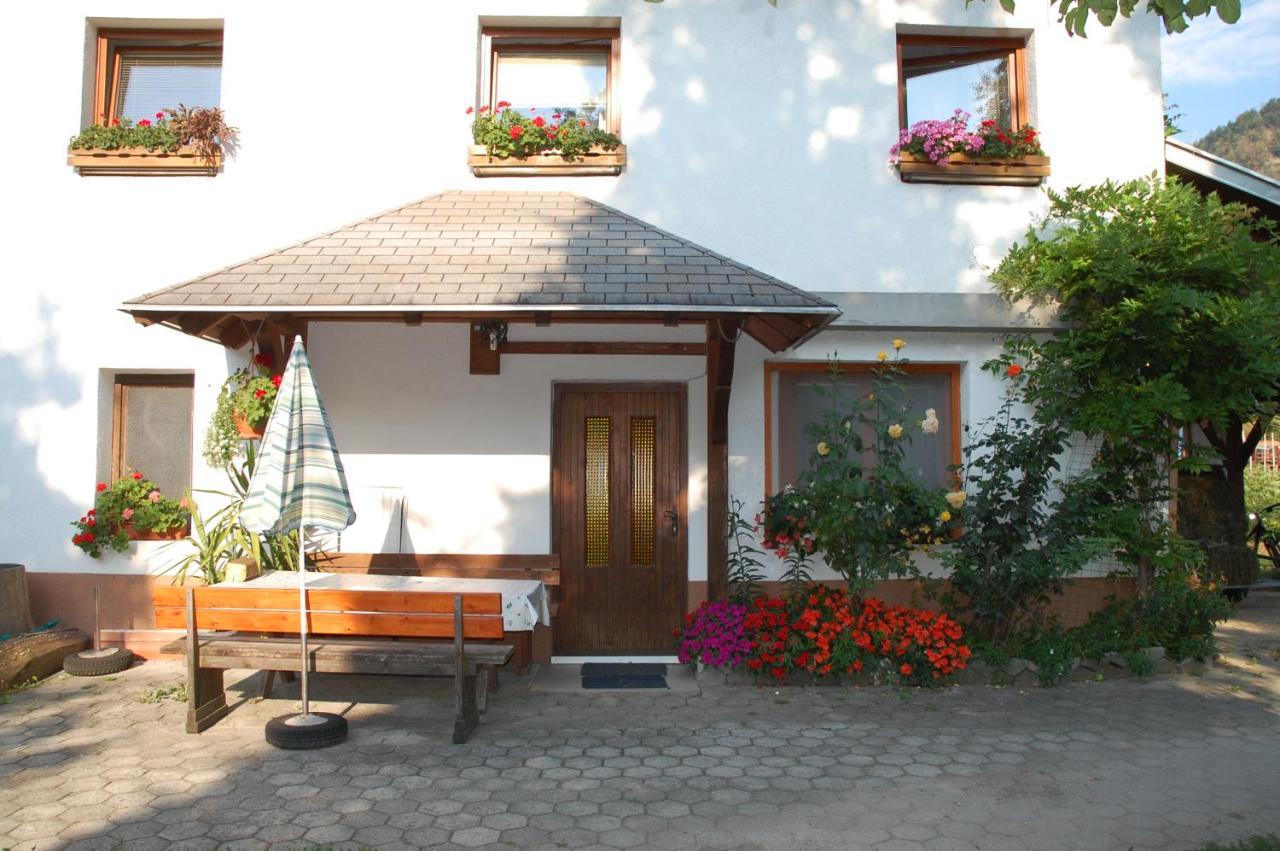 Appartement Apartma Pri Potokarju à Bohinj Extérieur photo